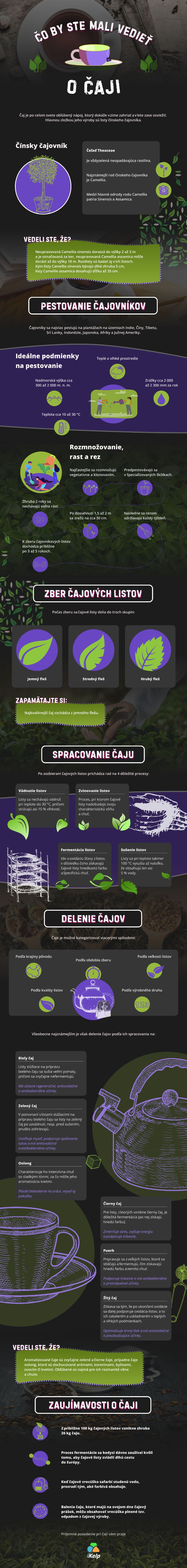 Infografika: Čo by ste mali vedieť o čaji?